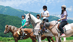 晴天の乗馬に大人も子どもも大満足